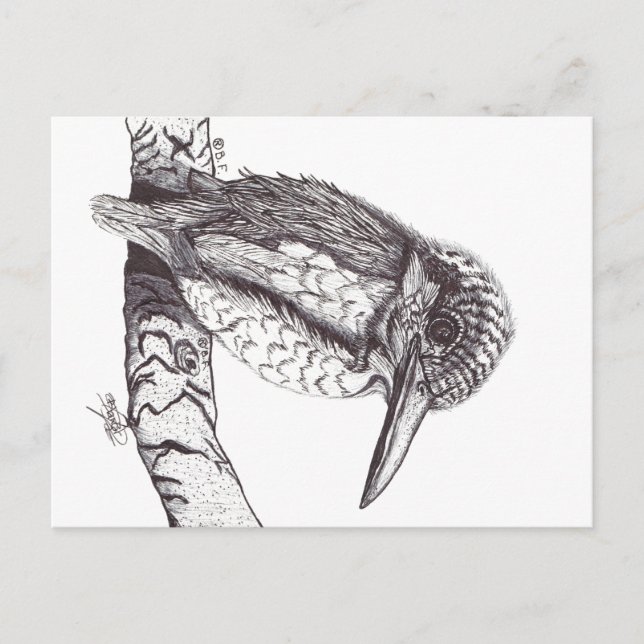 KINGFISHER HOLIDAY POSTCARD