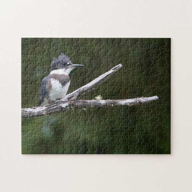 kingfisher jigsaw puzzle (Horizontal)