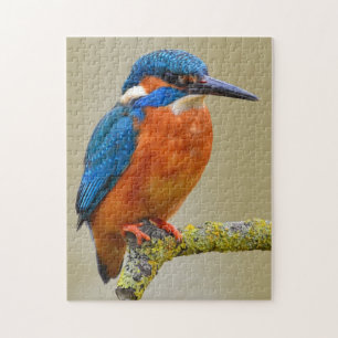 Kingfisher Jigsaw Puzzle