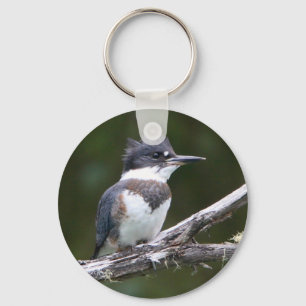 kingfisher key ring