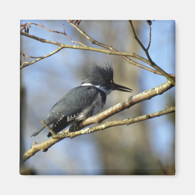 "Kingfisher" Magnet (Front)