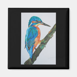 Kingfisher Magnet