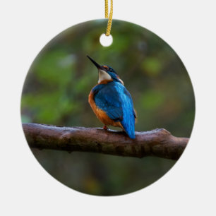 Kingfisher on a branch ceramic ornament