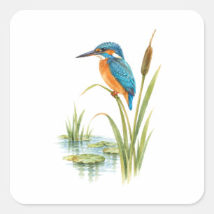 Kingfisher on a Reed by a Quiet Pond Square Sticker