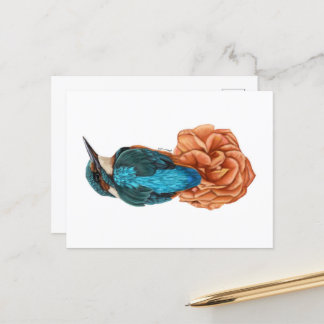 Kingfisher on Flower Postcard Print 