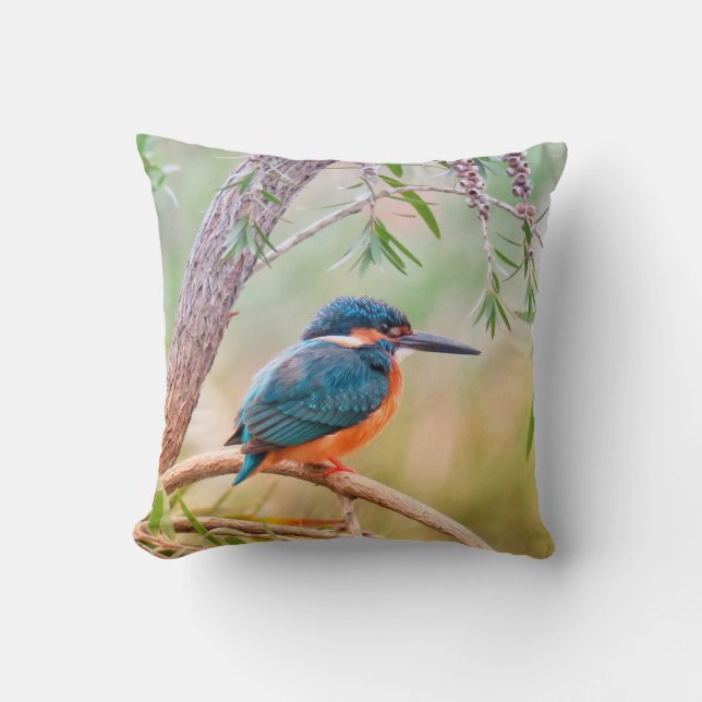 Kingfisher Perched on Branch Cushion (Front)