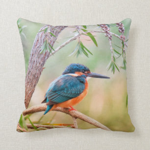 Kingfisher Perched on Branch Cushion