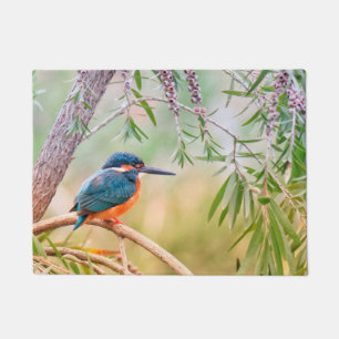 Kingfisher Perched on Branch Doormat