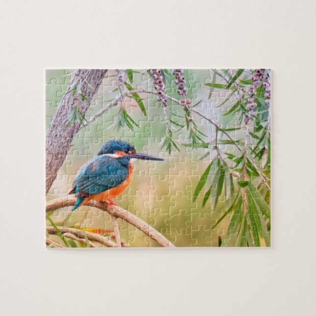 Kingfisher Perched on Branch Jigsaw Puzzle (Horizontal)
