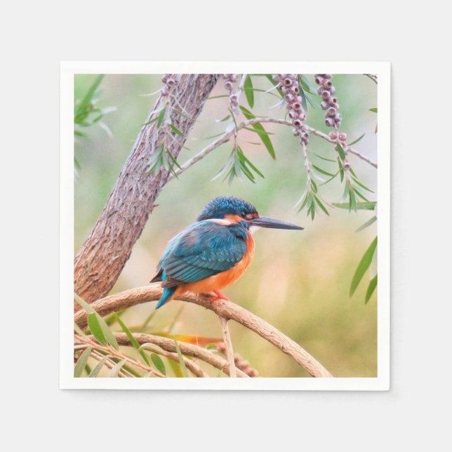 Kingfisher Perched on Branch Napkin (Front)