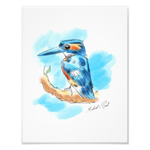 Kingfisher Photo Print