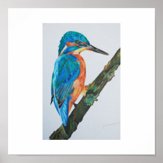 Kingfisher Print - choose your paper and frame!