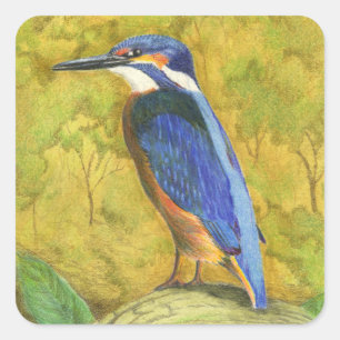 Kingfisher Square Sticker