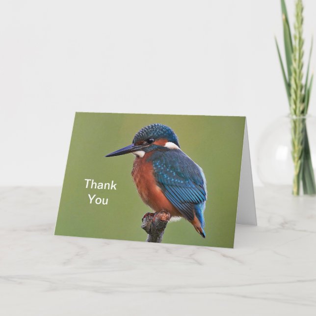 Kingfisher Thank You Card (Front)