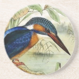 Kingfisher Vintage Bird Illustration Coaster