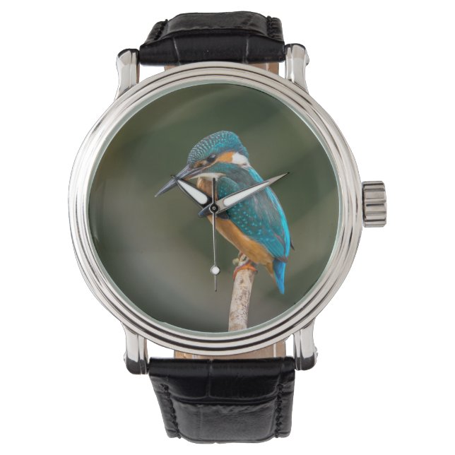 KIngfisher Watch (Front)