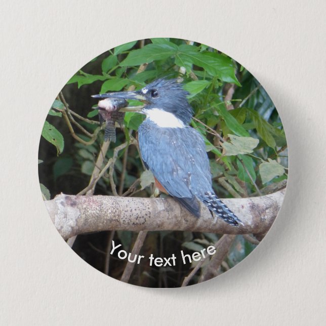Kingfisher with Fish from Costa Rica Button (Front)