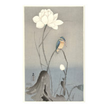 Kingfisher with Lotus Flower - Archival Print
