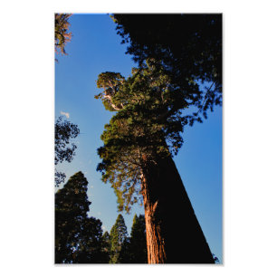 Kings Canyon National Park Photo Print