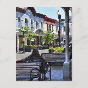 Kingston NY - Relaxing on N Front St Postcard