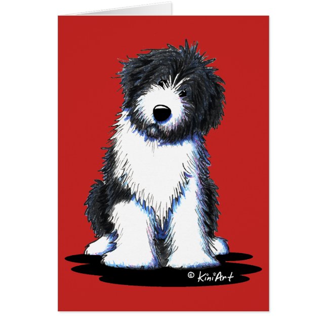 KiniArt Bearded Collie (Front)