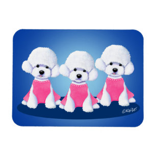 KiniArt Bichon Trio Flexible Magnet