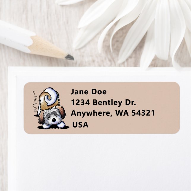 KiniArt Playful Havanese Return Address Label (Insitu)