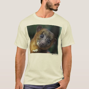 Kinkajou shirt