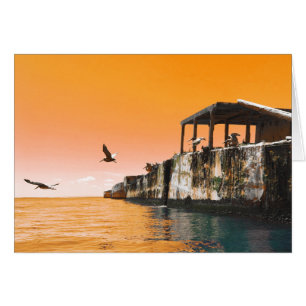 kiptopeke beach concrete ships and birds dreamdaze