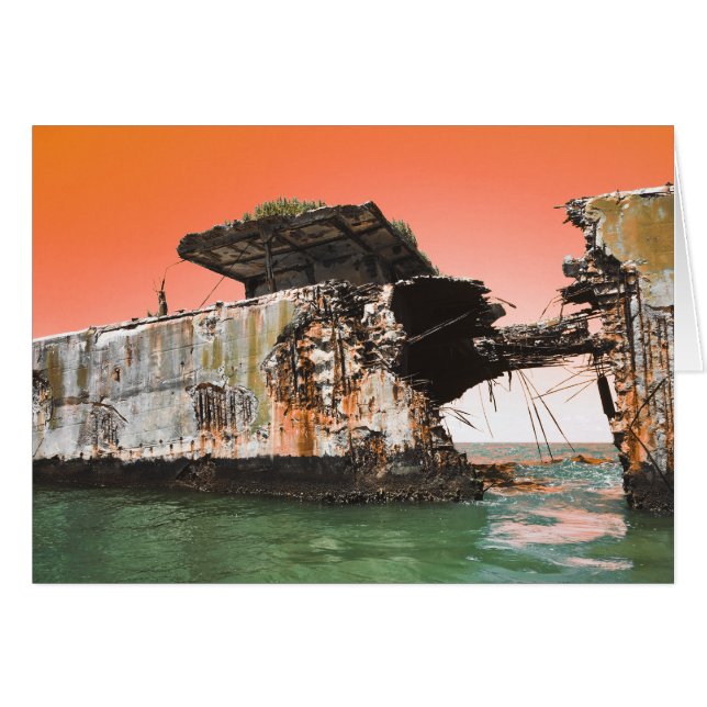kiptopeke beach concrete ships dreamdaze (Front Horizontal)