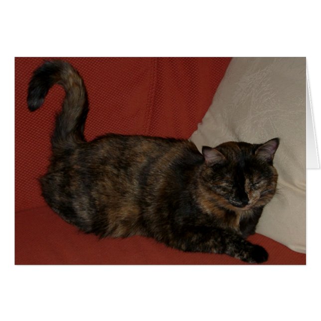 Kira 01 (Front Horizontal)