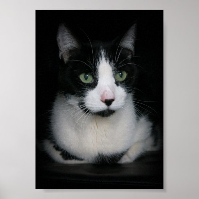 Kirby Poster (Front)