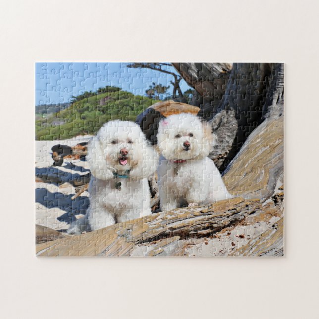 Kirby Shelby - Poodles on Carmel Beach Jigsaw Puzzle (Horizontal)