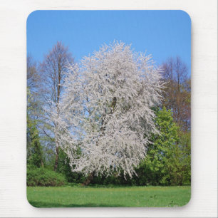 Kirschbaum Mouse Pad