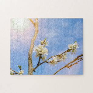 Kirschblüte Jigsaw Puzzle