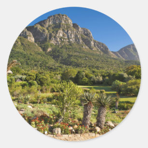 Kirstenbosch Botanic Gardens, Cape Town Classic Round Sticker