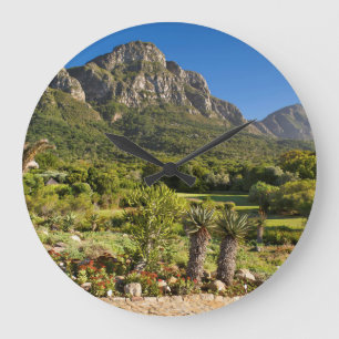 Kirstenbosch Botanic Gardens, Cape Town Large Clock
