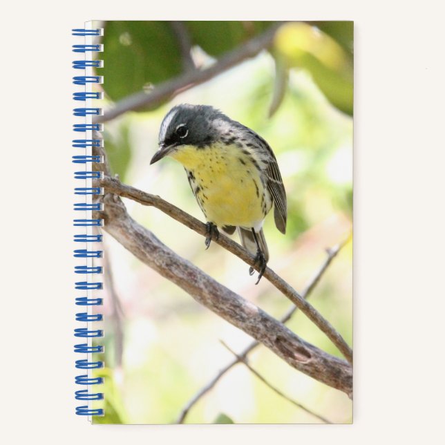 Kirtland's Warbler spiral bound bullet journal (Front)