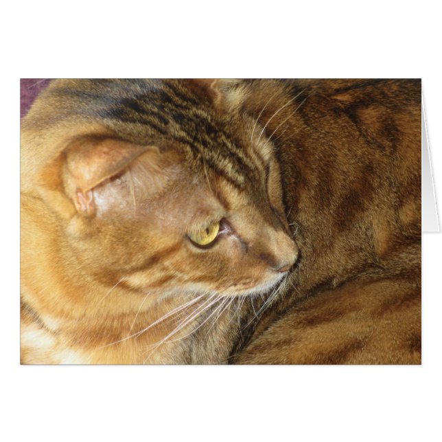 Kishka-glittering in gold (Front Horizontal)