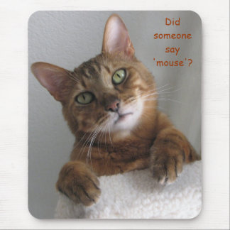 Kishka - mouse? mouse pad