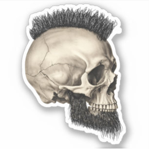 Kiss cut skull sticker