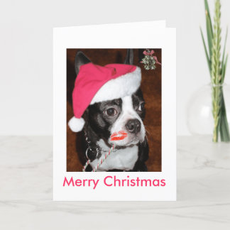 Kiss me Boston Terrier Holiday Card