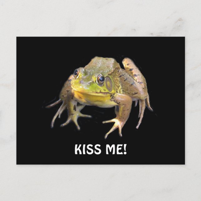 Kiss Me! Green Frog Postcard (Front)