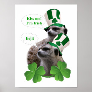 Kiss me I'm a Irish meerkat design Poster