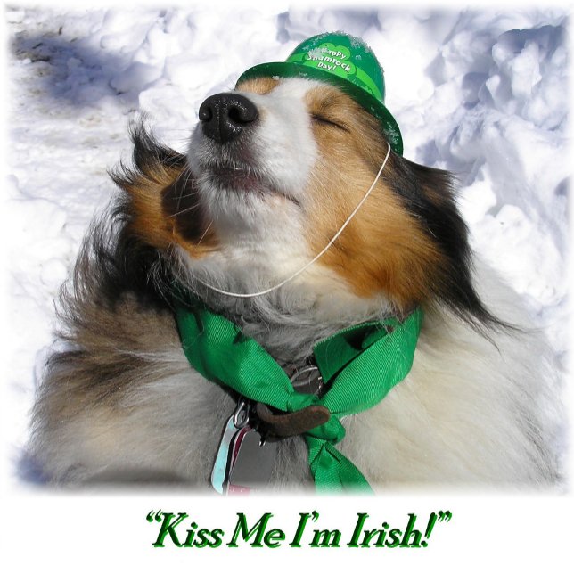 "Kiss Me I'm Irish!" Card (Creator Uploaded)