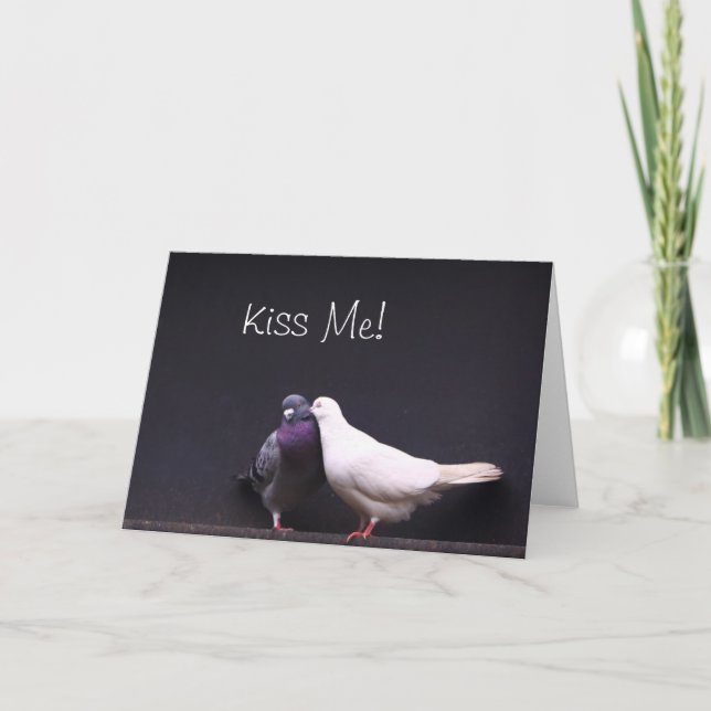 Kiss Me Love Pigeons Valentine Card (Front)