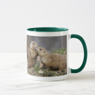 Kiss me Quick Mug