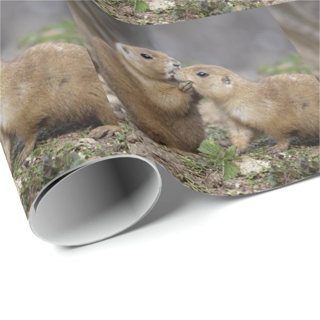 Kiss me Quick Wrapping Paper (Roll Corner)