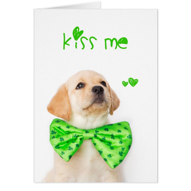 Kiss Me Yellow Labrador Puppy (Front)
