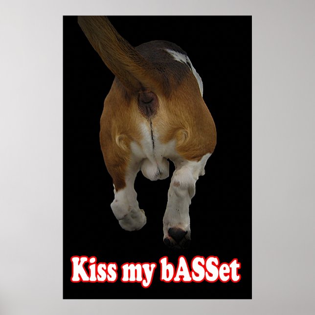 Kiss my bASSet Poster (Front)